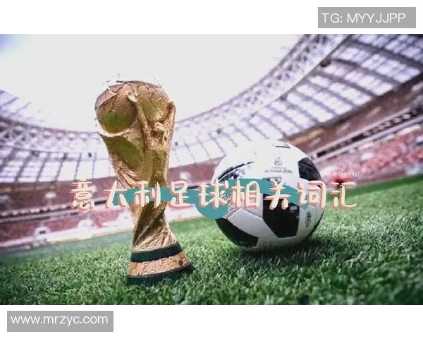 大足球的魅力与影响力：探讨全球足球文化的传承与发展